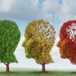How to Tackle Memory Loss; Things to Improve Memory