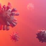 Avoiding Spreading Flu Who Is At Most Risk