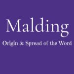What Is Malding